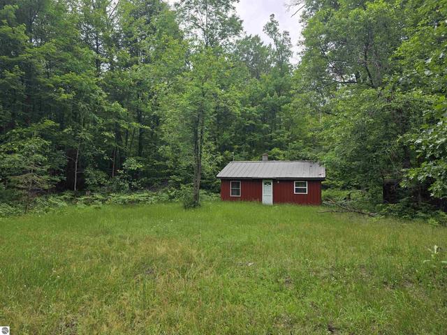 6300 Kerr Trl, Hale, MI 48739
