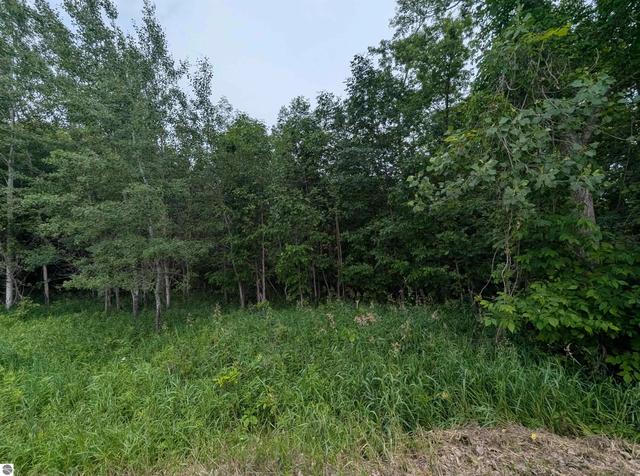 N/a Shenfield Road, Turner, MI 48765