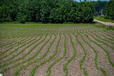 Other - 3102 S 9 Rd, Harrietta, MI 49638 photo 6 of 20