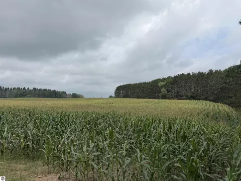 Other - 3102 S 9 Rd, Harrietta, MI 49638 photo 19 of 20