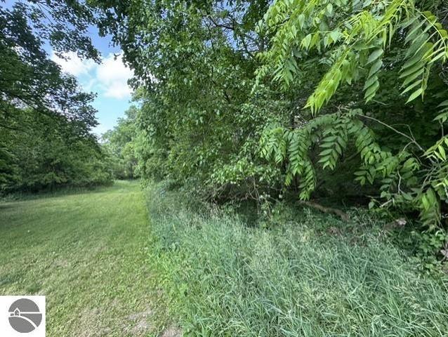 tbd N Lincoln, Stanton, MI 48888