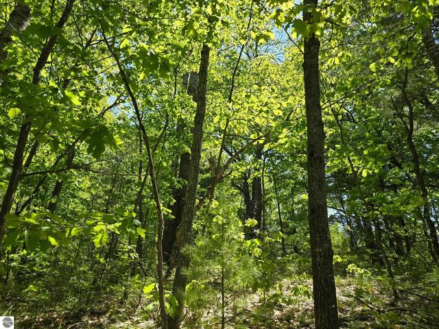 00 E Long Lake Rd, Cadillac, MI 49601