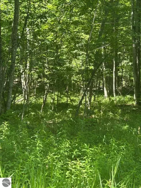 S Point Lookout Road, Au Gres, MI 48703 photo 3