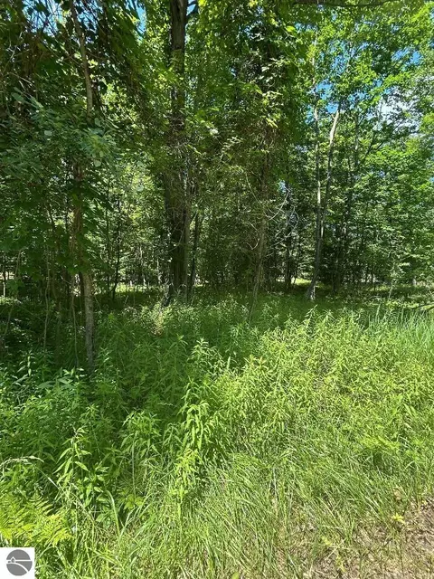 S Point Lookout Road, Au Gres, MI 48703 photo 1