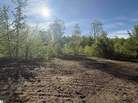 1087 E Solaris Way, Maple City, MI 49664 photo 6