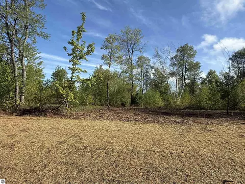 1087 E Solaris Way, Maple City, MI 49664 photo 3