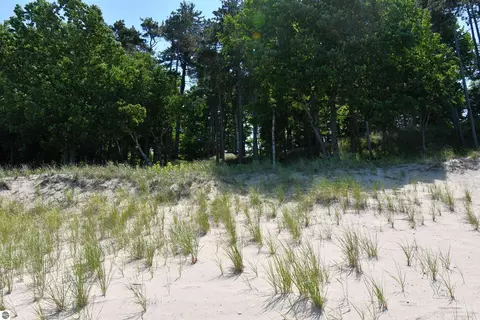 0000 Mt Mcsauba Rd, Charlevoix, MI 49720 photo 28