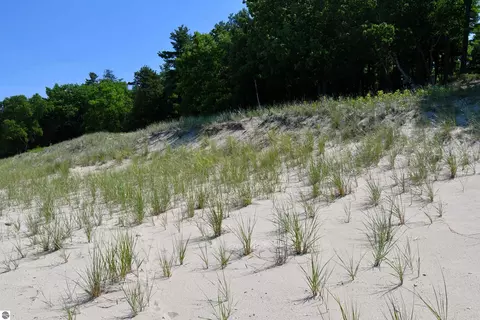 0000 Mt Mcsauba Rd, Charlevoix, MI 49720 photo 26