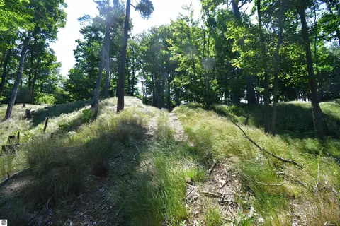 0000 Mt Mcsauba Rd, Charlevoix, MI 49720 photo 33