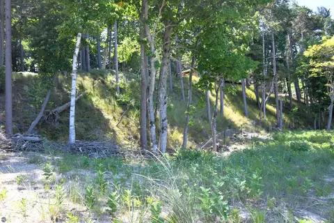 0000 Mt Mcsauba Rd, Charlevoix, MI 49720 photo 30