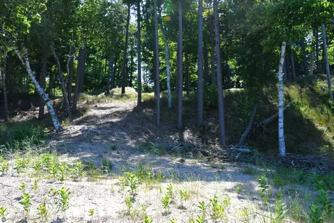 0000 Mt Mcsauba Rd, Charlevoix, MI 49720 photo 31