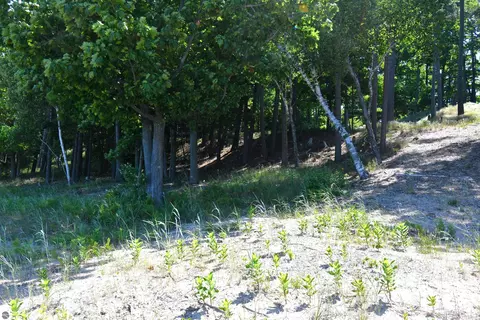 0000 Mt Mcsauba Rd, Charlevoix, MI 49720 photo 29