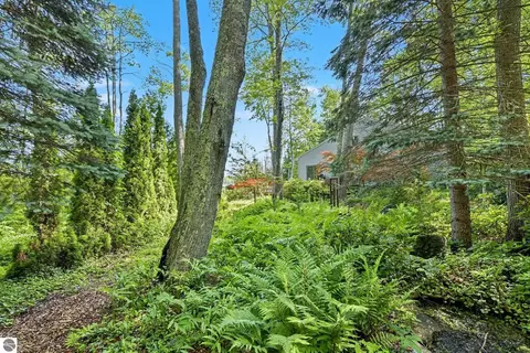 Exterior - 9948 Harmony Dr, Interlochen, MI 49643 photo 15 of 16
