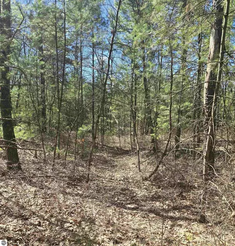 4699 Johnson Rd, Oscoda, MI 48750