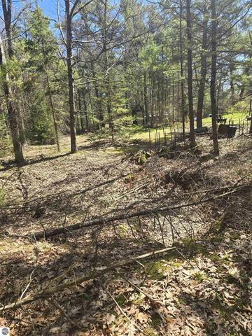 4699 Johnson Rd, Oscoda, MI 48750