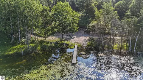 16963 Parcel C Gray Heirs Rd, Lake Ann, MI 49650