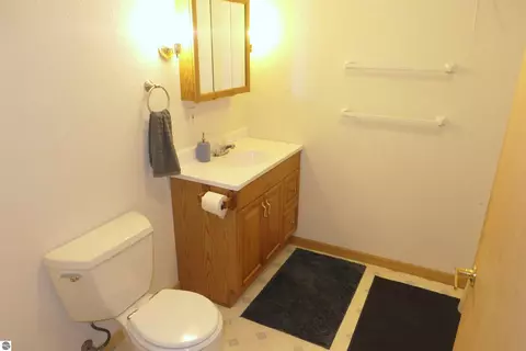 Bath - 4769 Feather Trl, Edmore, MI 48829 photo 4 of 5