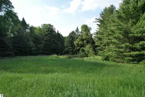 33 W 20 Rd, Mesick, MI 49668 photo 4