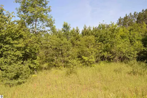 NE Holly Road, Kalkaska, MI 49646