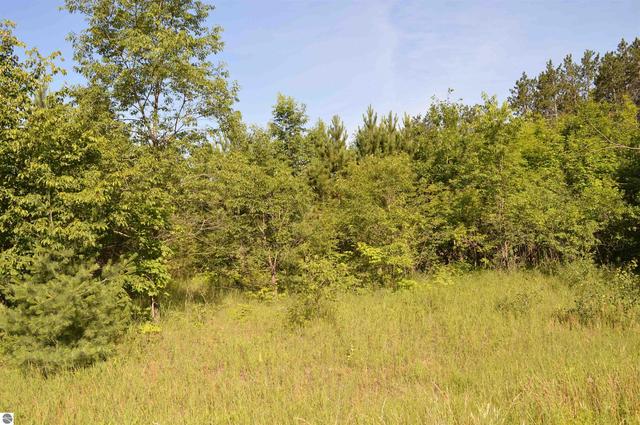 NE Holly Road, Kalkaska, MI 49646