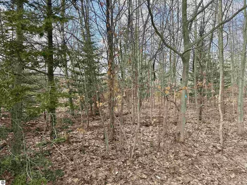 0 E Sandy Ln, Cedar, MI 49621 photo 17