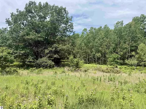 0 E Sandy Ln, Cedar, MI 49621 photo 3