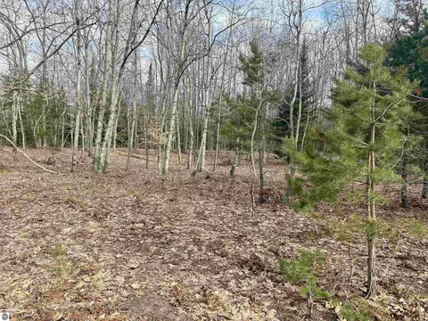 0 E Sandy Ln, Cedar, MI 49621 photo 15