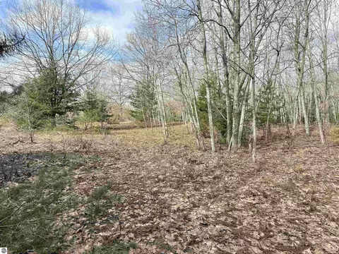 0 E Sandy Ln, Cedar, MI 49621 photo 18