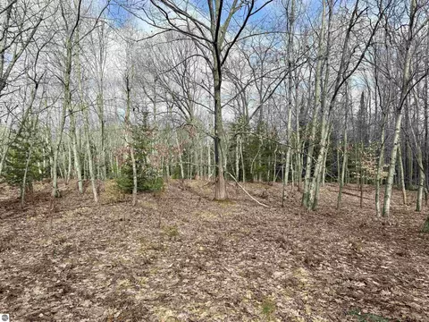 0 E Sandy Ln, Cedar, MI 49621 photo 16