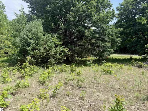 0 E Sandy Ln, Cedar, MI 49621 photo 4