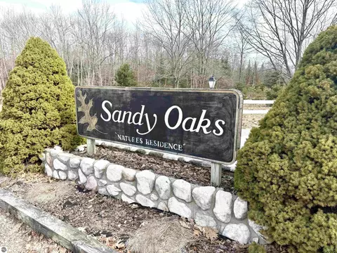 0 E Sandy Ln, Cedar, MI 49621 photo 13