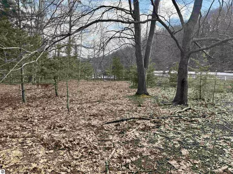 0 E Sandy Ln, Cedar, MI 49621 photo 14