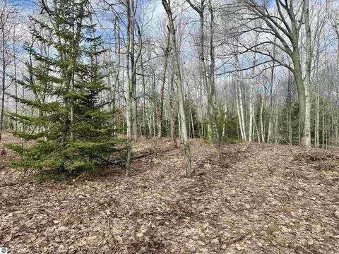 0 E Sandy Ln, Cedar, MI 49621 photo 11