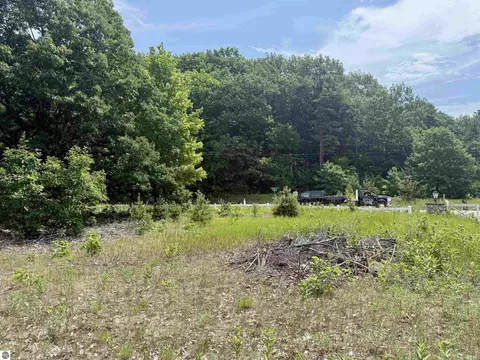 0 E Sandy Ln, Cedar, MI 49621 photo 6
