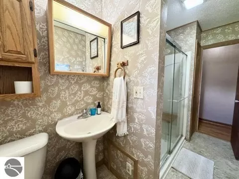 4721 E Sidney Rd, Stanton, MI 48888 photo 13
