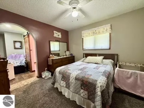 4721 E Sidney Rd, Stanton, MI 48888 photo 8