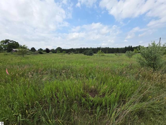 tbd W Remus Rd, Mount Pleasant, MI 48858
