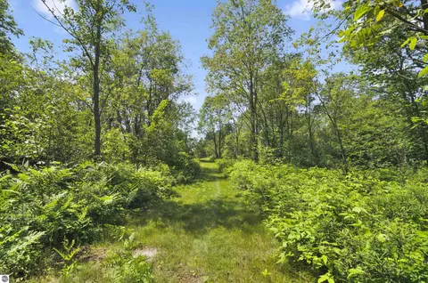Exterior - 6838 Williams Trl, Grayling, MI 49738 photo 8 of 8