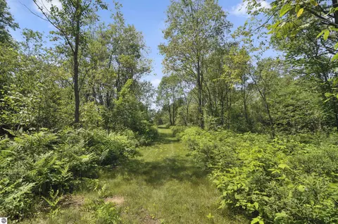 Exterior - 6838 Williams Trl, Grayling, MI 49738 photo 7 of 8