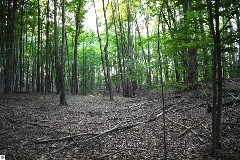 0 E Ritchie Rd, Lincoln, MI 48742 photo 9