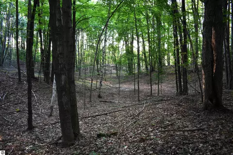 0 E Ritchie Rd, Lincoln, MI 48742 photo 10
