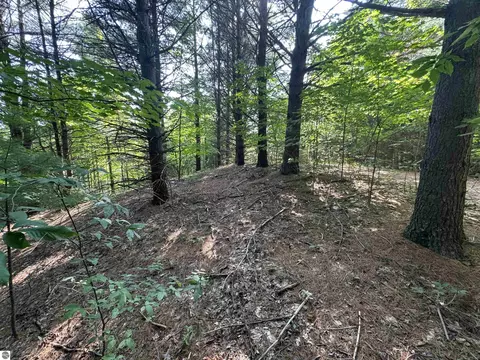 lot E Apt 6 E Bellinger Rd, Cedar, MI 49621 photo 21