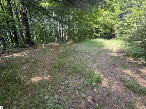 lot E Apt 6 E Bellinger Rd, Cedar, MI 49621 photo 20