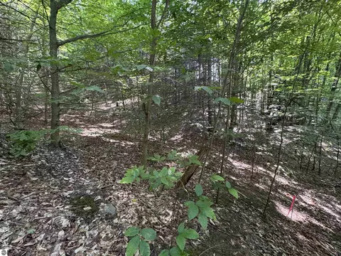 lot E Apt 6 E Bellinger Rd, Cedar, MI 49621 photo 18