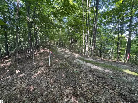 lot E Apt 6 E Bellinger Rd, Cedar, MI 49621 photo 19