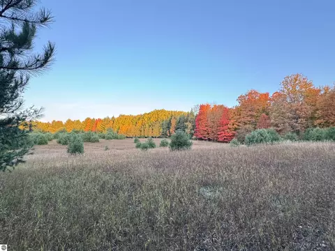 lot E Apt 6 E Bellinger Rd, Cedar, MI 49621 photo 38