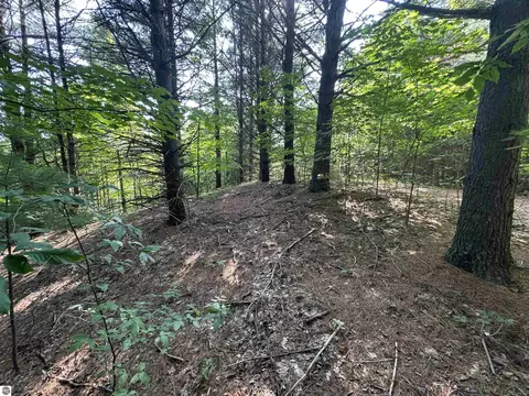 lot E Apt 6 E Bellinger Rd, Cedar, MI 49621 photo 26