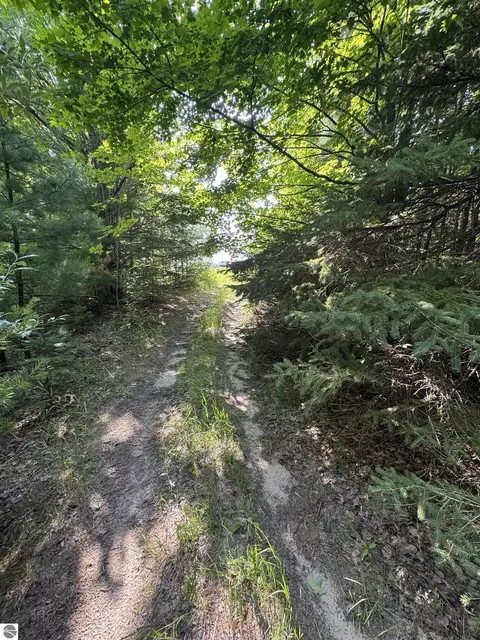 lot E Apt 6 E Bellinger Rd, Cedar, MI 49621 photo 35