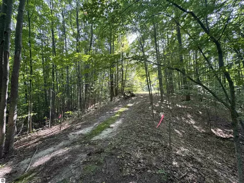 lot E Apt 6 E Bellinger Rd, Cedar, MI 49621 photo 21
