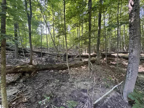 lot E Apt 6 E Bellinger Rd, Cedar, MI 49621 photo 29